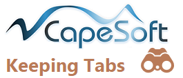 CapeSoft Logo