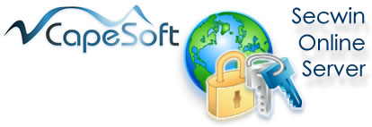 CapeSoft Logo